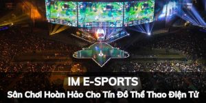 IM E-SPORTS: Sân Chơi Hoàn Hảo Cho Người Yêu Thể Thao Điện Tử